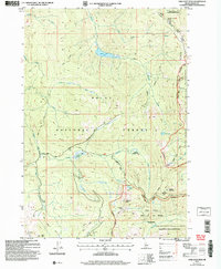 Download a high-resolution, GPS-compatible USGS topo map for Chilcoot Peak, ID (2007 edition)