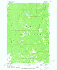 Download a high-resolution, GPS-compatible USGS topo map for Chilcoot Peak, ID (1975 edition)