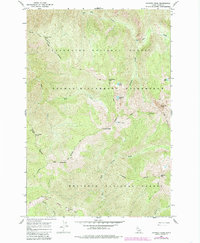 Download a high-resolution, GPS-compatible USGS topo map for Chimney Peak, ID (1985 edition)
