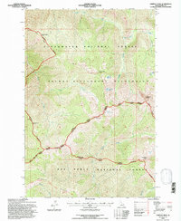 Download a high-resolution, GPS-compatible USGS topo map for Chimney Peak, ID (1997 edition)