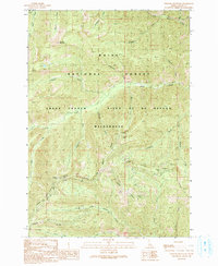 Download a high-resolution, GPS-compatible USGS topo map for Chinook Mountain, ID (1991 edition)