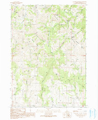 Download a high-resolution, GPS-compatible USGS topo map for Cinnabar Mountain, ID (1991 edition)