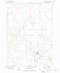 Download a high-resolution, GPS-compatible USGS topo map for Circular Butte 3 NW, ID (1977 edition)