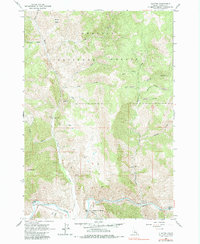 Download a high-resolution, GPS-compatible USGS topo map for Clayton, ID (1965 edition)