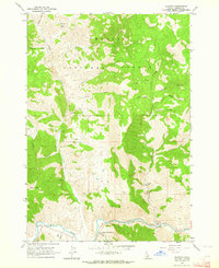 Download a high-resolution, GPS-compatible USGS topo map for Clayton, ID (1964 edition)