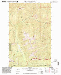 Download a high-resolution, GPS-compatible USGS topo map for Clifty Mountain, ID (1999 edition)