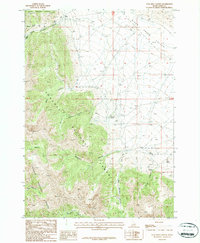 Download a high-resolution, GPS-compatible USGS topo map for Coal Kiln Canyon, ID (1987 edition)