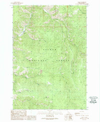 Download a high-resolution, GPS-compatible USGS topo map for Cobalt, ID (1989 edition)