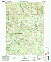 Download a high-resolution, GPS-compatible USGS topo map for Cold Spring Summit, ID (2007 edition)