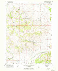 Download a high-resolution, GPS-compatible USGS topo map for Connor Ridge, ID (1972 edition)