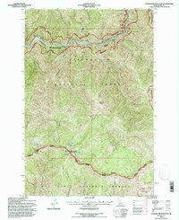 Download a high-resolution, GPS-compatible USGS topo map for Coolwater Mountain, ID (1997 edition)