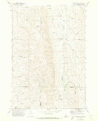 Download a high-resolution, GPS-compatible USGS topo map for Coonrod Gulch, ID (1973 edition)