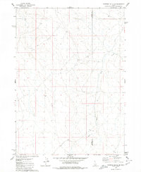 Download a high-resolution, GPS-compatible USGS topo map for Coonskin Butte NE, ID (1980 edition)