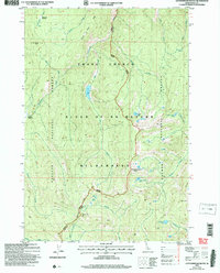 Download a high-resolution, GPS-compatible USGS topo map for Cottonwood Butte, ID (2007 edition)