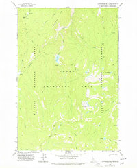 Download a high-resolution, GPS-compatible USGS topo map for Cottonwood Butte, ID (1977 edition)