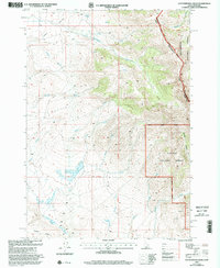 Download a high-resolution, GPS-compatible USGS topo map for Cottonwood Creek, ID (2002 edition)