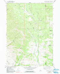 Download a high-resolution, GPS-compatible USGS topo map for Cottonwood Peak, ID (1991 edition)