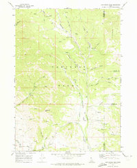 Download a high-resolution, GPS-compatible USGS topo map for Cottonwood Peak, ID (1973 edition)