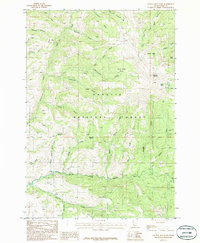 Download a high-resolution, GPS-compatible USGS topo map for Council Mountain, ID (1986 edition)