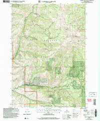 Download a high-resolution, GPS-compatible USGS topo map for Council Mountain, ID (2007 edition)