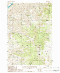 Download a high-resolution, GPS-compatible USGS topo map for Cuddy Mountain, ID (1987 edition)