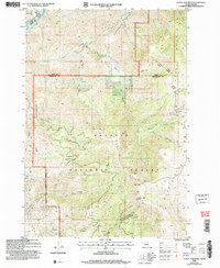 Download a high-resolution, GPS-compatible USGS topo map for Cuddy Mountain, ID (2007 edition)