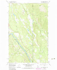 Download a high-resolution, GPS-compatible USGS topo map for Curley Creek, ID (1984 edition)