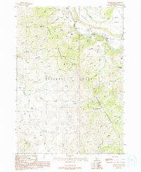 Download a high-resolution, GPS-compatible USGS topo map for Danskin Peak, ID (1991 edition)