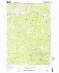 Download a high-resolution, GPS-compatible USGS topo map for Dave Lewis Peak, ID (1979 edition)