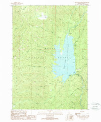 Download a high-resolution, GPS-compatible USGS topo map for Deadwood Reservoir, ID (1988 edition)