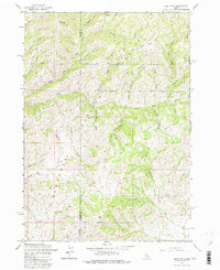 preview thumbnail of historical topo map of Camas County, ID in 1963