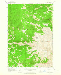 Download a high-resolution, GPS-compatible USGS topo map for Degan Mtn, ID (1964 edition)