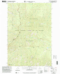 Download a high-resolution, GPS-compatible USGS topo map for Dennis Mountain, ID (2002 edition)