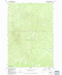 Download a high-resolution, GPS-compatible USGS topo map for Dennis Mtn, ID (1994 edition)