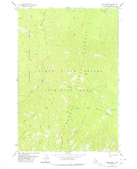 Download a high-resolution, GPS-compatible USGS topo map for Dennis Mtn, ID (1978 edition)