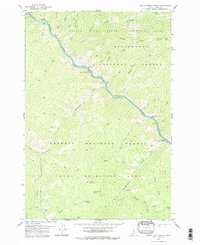 Download a high-resolution, GPS-compatible USGS topo map for Devils Teeth Rapids, ID (1979 edition)