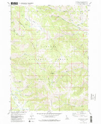 Download a high-resolution, GPS-compatible USGS topo map for Diamond Flat, ID (1980 edition)