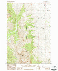 preview thumbnail of historical topo map of Butte County, ID in 1987