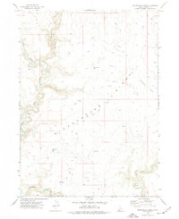 Download a high-resolution, GPS-compatible USGS topo map for Dickshooter Ridge, ID (1977 edition)