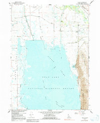 Download a high-resolution, GPS-compatible USGS topo map for Dingle, ID (1991 edition)