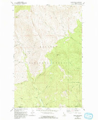 Download a high-resolution, GPS-compatible USGS topo map for Dodge Peak, ID (1993 edition)