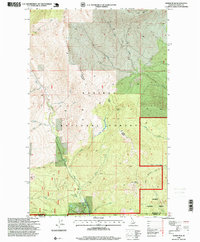 Download a high-resolution, GPS-compatible USGS topo map for Dodge Peak, ID (1999 edition)