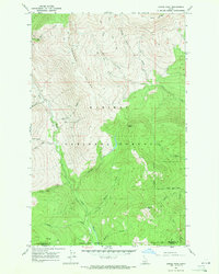 Download a high-resolution, GPS-compatible USGS topo map for Dodge Peak, ID (1971 edition)