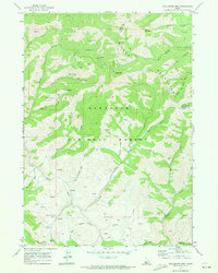 Download a high-resolution, GPS-compatible USGS topo map for Dollarhide Mtn, ID (1973 edition)