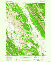Download a high-resolution, GPS-compatible USGS topo map for Dry Valley, ID (1960 edition)