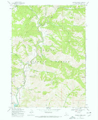 Download a high-resolution, GPS-compatible USGS topo map for Dunnigan Creek, ID (1972 edition)