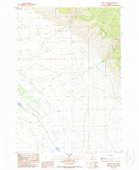 preview thumbnail of historical topo map of Lemhi County, ID in 1989