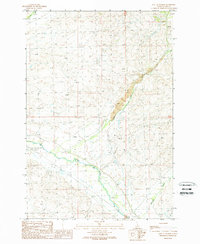 Download a high-resolution, GPS-compatible USGS topo map for East of Salmon, ID (1989 edition)