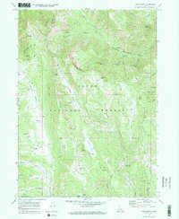 Download a high-resolution, GPS-compatible USGS topo map for Egan Basin, ID (1973 edition)
