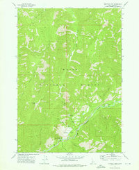 Download a high-resolution, GPS-compatible USGS topo map for Eightmile Mtn, ID (1976 edition)